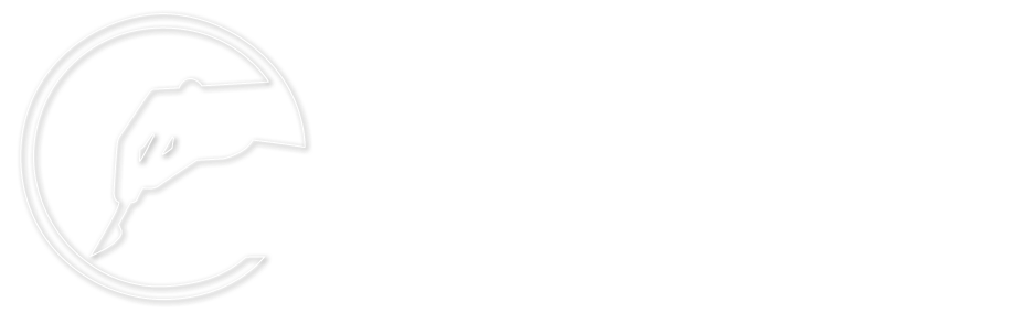 Portuguese Journal of Surgery